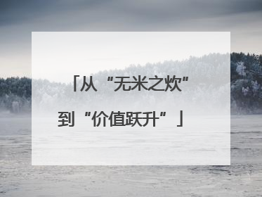 从“无米之炊”到“价值跃升”
