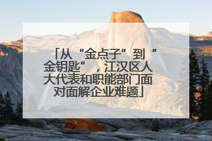 从“金点子”到“金钥匙”，江汉区人大代表和职能部门面对面解企业难题