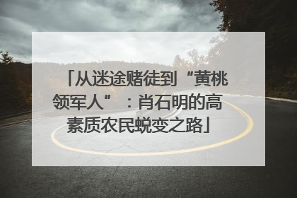 从迷途赌徒到“黄桃领军人”：肖石明的高素质农民蜕变之路
