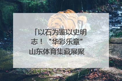 以石为鉴以史明志！“华彩乐章”山东体育集藏展聚焦“岱石丹心”
