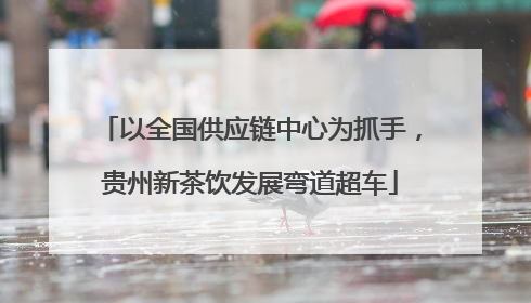 以全国供应链中心为抓手，贵州新茶饮发展弯道超车