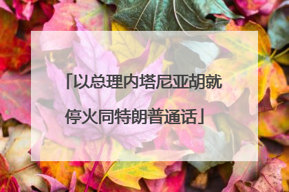 以总理内塔尼亚胡就停火同特朗普通话