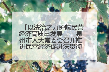 以法治之力护航民营经济高质量发展——泉州市人大常委会召开推进民营经济促进法贯彻实施座谈会