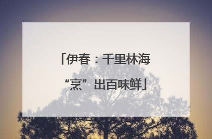 伊春：千里林海“烹”出百味鲜