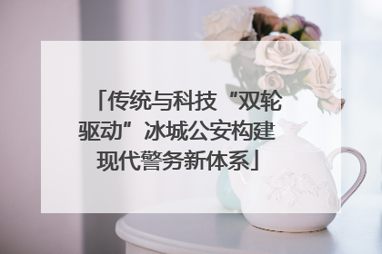 传统与科技“双轮驱动”冰城公安构建现代警务新体系