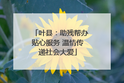 叶县：助残帮办贴心服务 温情传递社会大爱