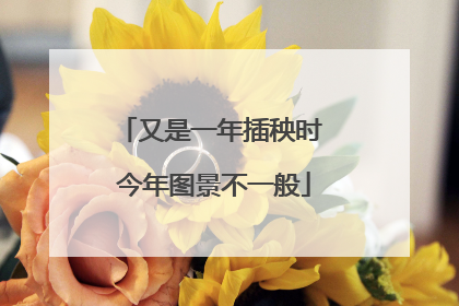 又是一年插秧时 今年图景不一般