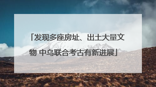 发现多座房址、出土大量文物 中乌联合考古有新进展