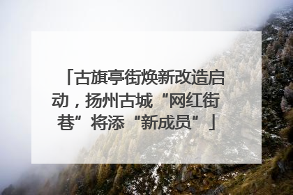 古旗亭街焕新改造启动，扬州古城“网红街巷”将添“新成员”