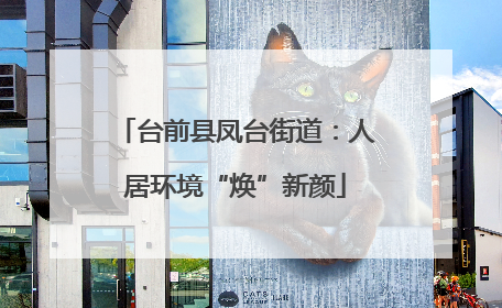 台前县凤台街道：人居环境“焕”新颜
