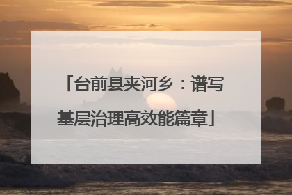 台前县夹河乡：谱写基层治理高效能篇章