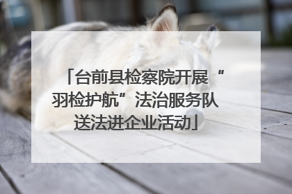 台前县检察院开展“羽检护航”法治服务队送法进企业活动