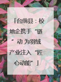 台前县：校地企携手“链”动 为羽绒产业注入“匠心动能”