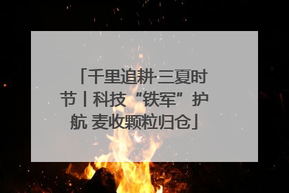 千里追耕·三夏时节丨科技“铁军”护航 麦收颗粒归仓
