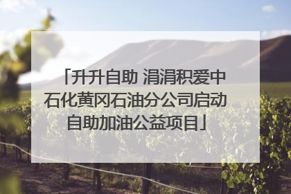 升升自助 涓涓积爱中石化黄冈石油分公司启动自助加油公益项目