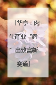 华亭：肉牛产业“犇”出致富新赛道