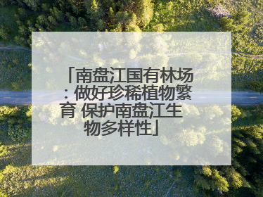 南盘江国有林场：做好珍稀植物繁育 保护南盘江生物多样性