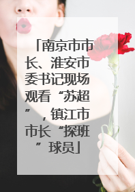 南京市市长、淮安市委书记现场观看“苏超”，镇江市市长“探班”球员
