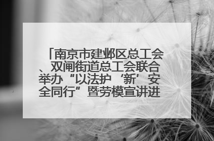 南京市建邺区总工会、双闸街道总工会联合举办“以法护‘新’安全同行”暨劳模宣讲进工地服务活动