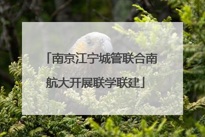 南京江宁城管联合南航大开展联学联建