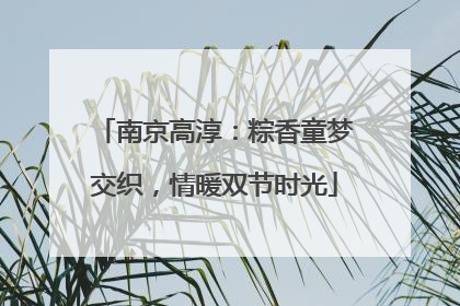 南京高淳：粽香童梦交织，情暖双节时光