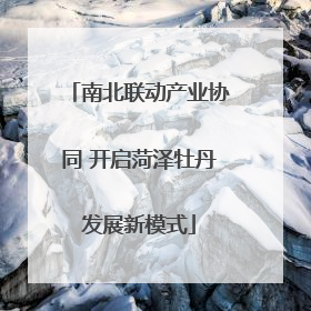 南北联动产业协同 开启菏泽牡丹发展新模式