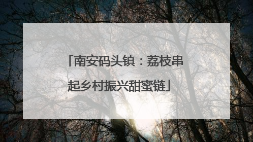 南安码头镇：荔枝串起乡村振兴甜蜜链