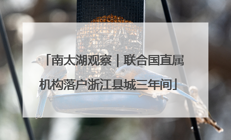 南太湖观察｜联合国直属机构落户浙江县城三年间