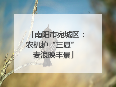 南阳市宛城区：农机护“三夏” 麦浪映丰景