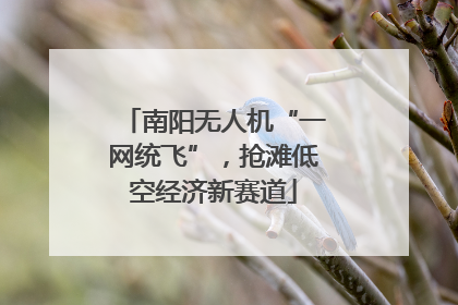 南阳无人机“一网统飞”，抢滩低空经济新赛道