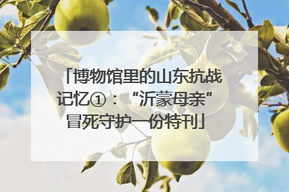 博物馆里的山东抗战记忆①：“沂蒙母亲”冒死守护一份特刊