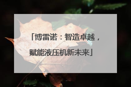 博雷诺：智造卓越，赋能液压机新未来