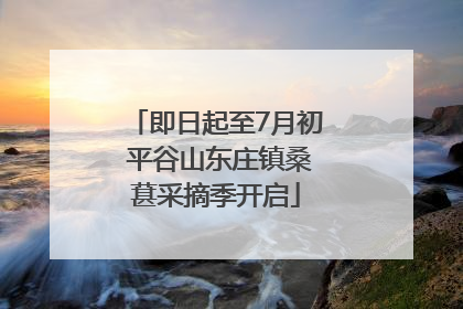 即日起至7月初 平谷山东庄镇桑葚采摘季开启
