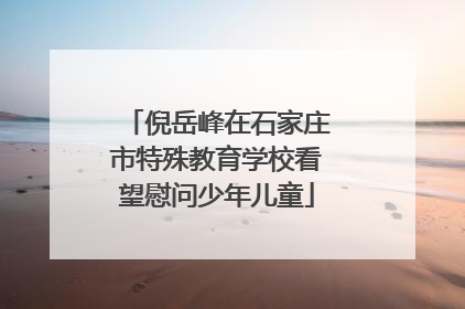 倪岳峰在石家庄市特殊教育学校看望慰问少年儿童