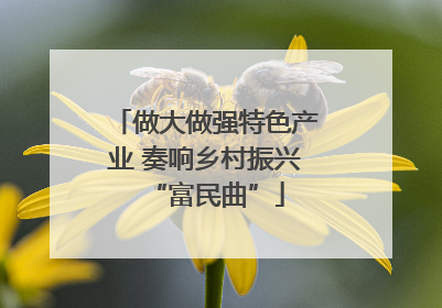 做大做强特色产业 奏响乡村振兴“富民曲”