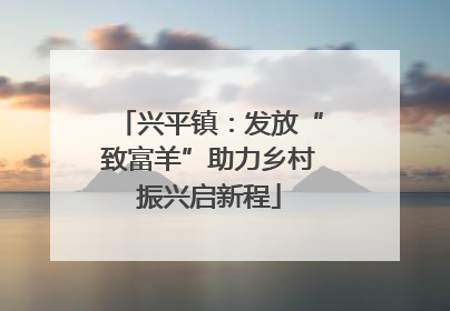 兴平镇：发放“致富羊”助力乡村振兴启新程