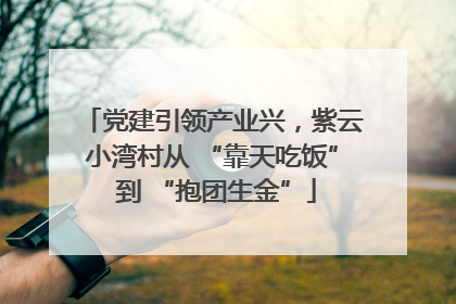 党建引领产业兴，紫云小湾村从 “靠天吃饭” 到 “抱团生金”