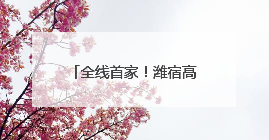 全线首家！潍宿高铁站前三标诸城段首孔箱梁架设成功