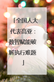 全国人大代表高亚：数智赋能破解执行难题