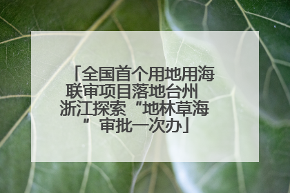 全国首个用地用海联审项目落地台州 浙江探索“地林草海”审批一次办