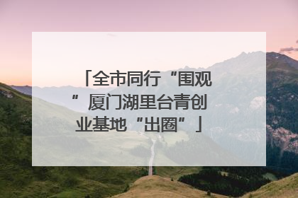 全市同行“围观”厦门湖里台青创业基地“出圈”