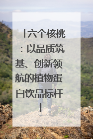 六个核桃：以品质筑基、创新领航的植物蛋白饮品标杆