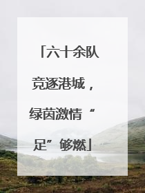 六十余队竞逐港城，绿茵激情“足”够燃