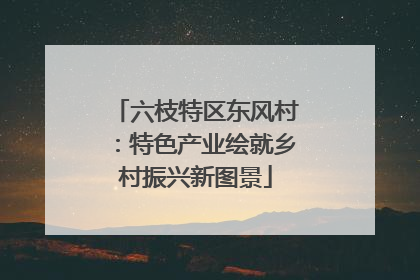 六枝特区东风村：特色产业绘就乡村振兴新图景