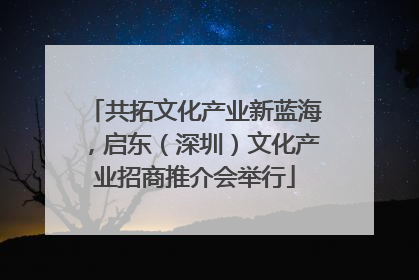 共拓文化产业新蓝海，启东（深圳）文化产业招商推介会举行