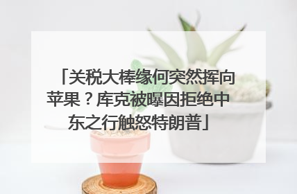 关税大棒缘何突然挥向苹果？库克被曝因拒绝中东之行触怒特朗普