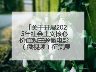 关于开展2025年社会主义核心价值观主题微电影（微视频）征集展示活动的公告