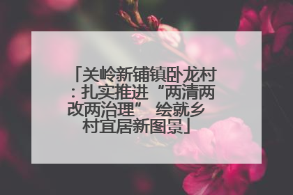 关岭新铺镇卧龙村：扎实推进“两清两改两治理” 绘就乡村宜居新图景
