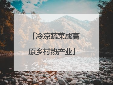 冷凉蔬菜成高原乡村热产业