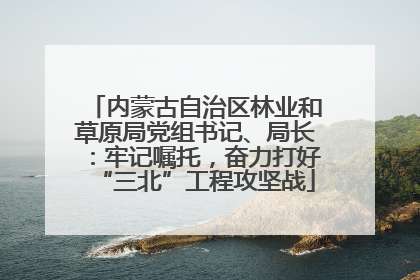 内蒙古自治区林业和草原局党组书记、局长：牢记嘱托，奋力打好“三北”工程攻坚战